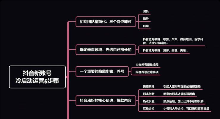 2023年抖音好物年货节运营要求详解（提升用户体验与销售业绩的15个关键点）