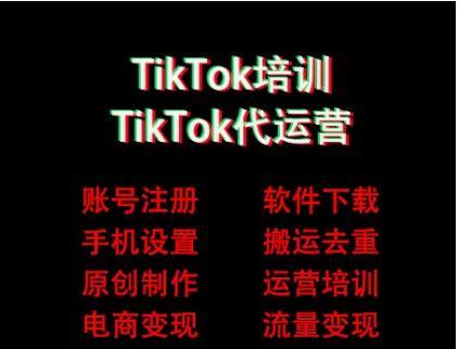 TikTokShop跨境平台促销大揭秘！（趁机享受优惠券，海淘更划算！）