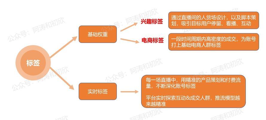 揭秘抖音电商权重，打造爆款产品必备！（抖音电商平台如何获取权重？权重对爆款产品有何影响？）