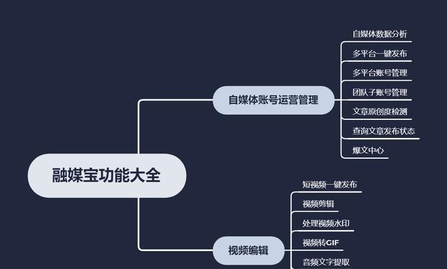 抖音短视频盈利秘籍（创意、粉丝和品牌是）