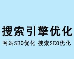 从入门到精通，全面掌握SEO优化（从入门到精通，全面掌握SEO优化）