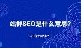 SEO优化带来的商业价值（深入探究SEO优化人员的赢利点）