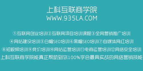 如何进行良好的网站数据统计？（掌握数据分析技巧，提高网站运营效率）