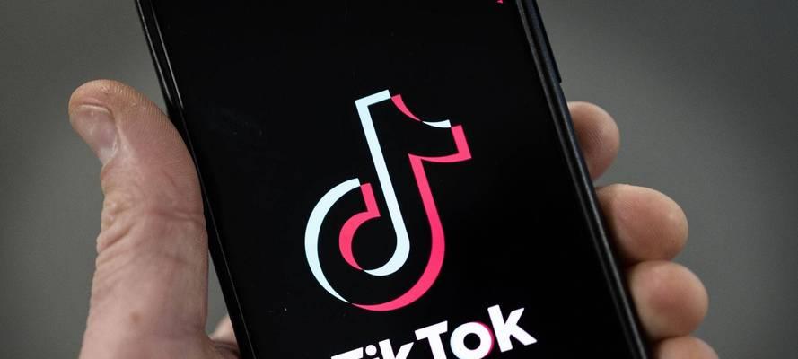 深度解析TikTokShop电商权限（探究TikTokShop电商功能及其开放接口，剖析电商权限的组成要素）