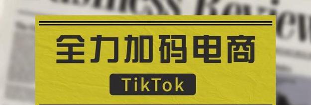 如何查看TikTokShop新店铺考察期每日订单？（掌握TikTokShop新店铺考察期订单情况，轻松开展生意）