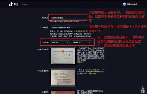 抖音蓝V认证费用是多少（解析抖音蓝V认证的费用结构及其应用）