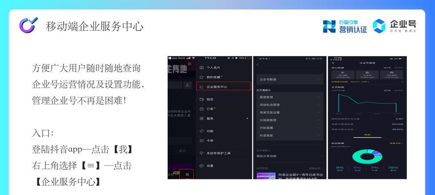 抖音企业号认证费用详解（了解抖音企业号认证所需费用及注意事项）