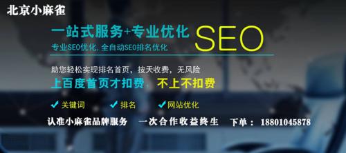 企业网站SEO引流技巧大全（详细介绍企业网站SEO常用的引流技巧）