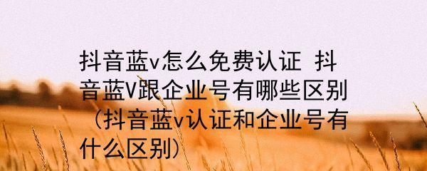 你需要知道的关于抖音小店和蓝v的差异（你需要知道的关于抖音小店和蓝v的差异）