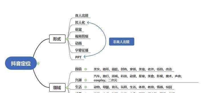 抖音的产品定位（如何在社交娱乐市场占据一席之地）