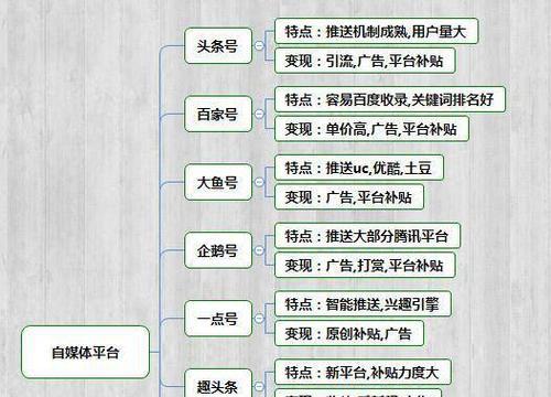 抖音入驻营业执照申请流程详解（从申请到审核）