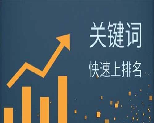 SEO优化技巧大揭秘——如何提升网站排名（掌握这些关键方法）