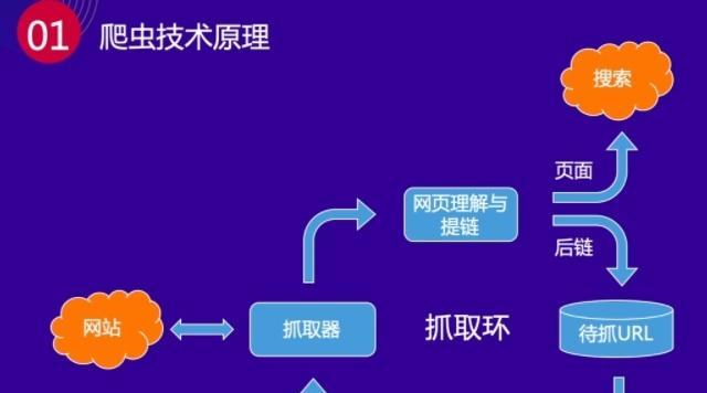 网站蜘蛛日志分析的步骤（学习如何分析网站蜘蛛日志）