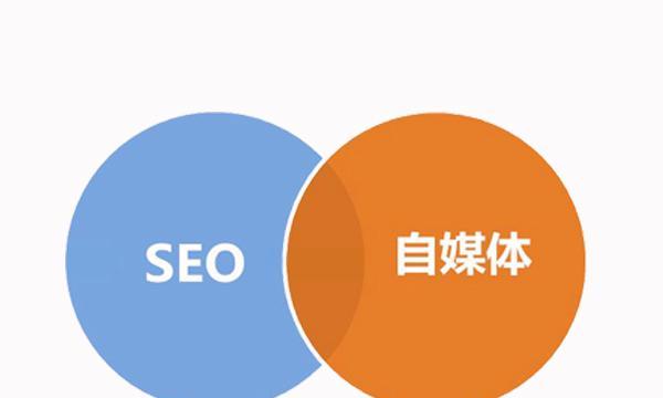 SEO挖掘方法详解（如何找到适合自己的）