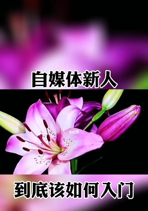 如何入门公众号自媒体（从零开始）