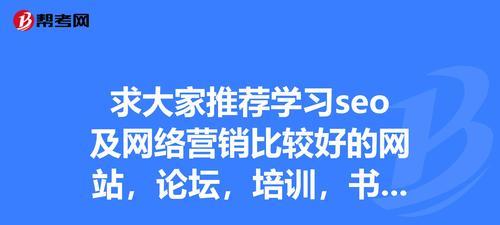 如何提高网站排名（掌握SEO技巧）