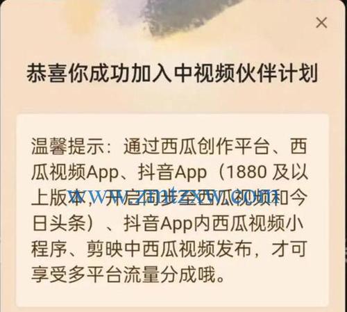 抖音视频计划必须是视频吗（探讨抖音视频计划中的“视频”定义和要求）