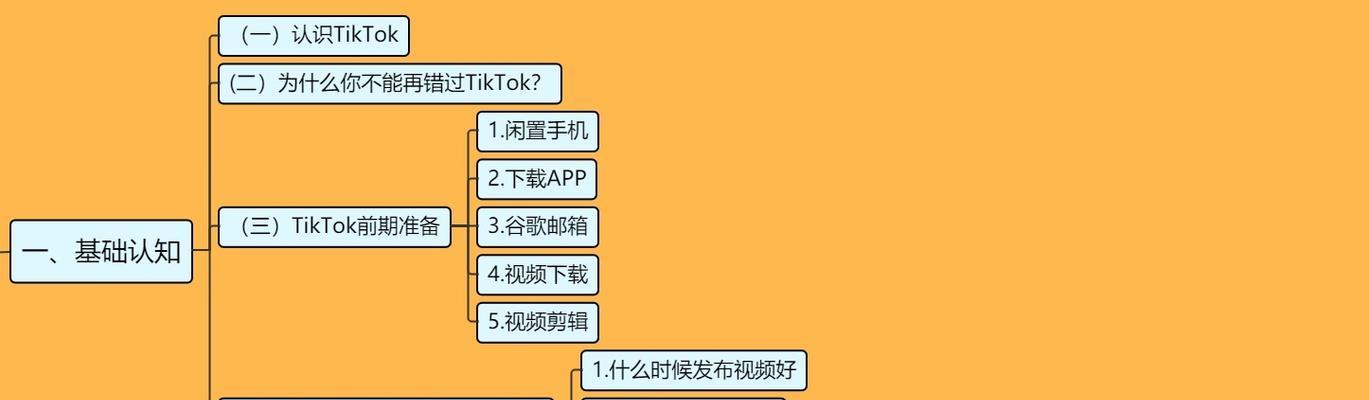 TikTok未授权账号访问政策是什么？如何处理未授权访问问题？