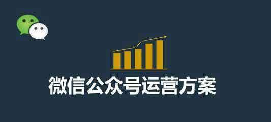 SEO网站排名优化中什么才是最重要的？如何有效提升网站SEO排名？