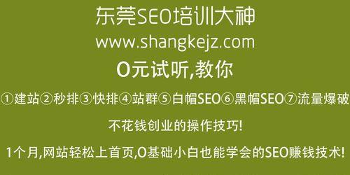 网站快照不更新怎么办？如何快速解决网站快照停滞问题？