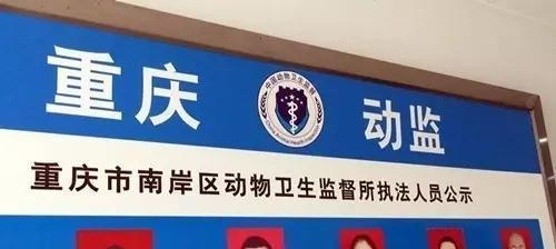 重庆网站制作市场现状如何？如何选择服务商？